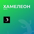 ХАМЕЛЕОН - 999 в 1. Конструктор лендингов